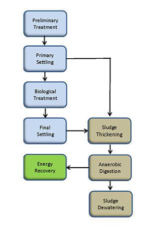 Flow Diagram
